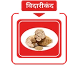 अश्वगंधा